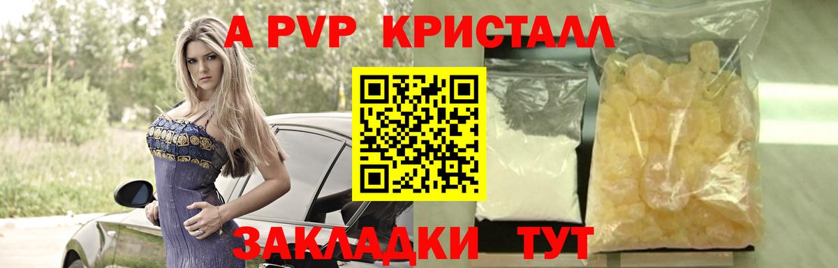 Альфа ПВП СК КРИС Дербент