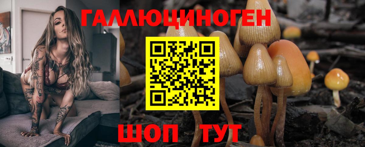 Галлюциногенные грибы MAGIC MUSHROOMS Дербент