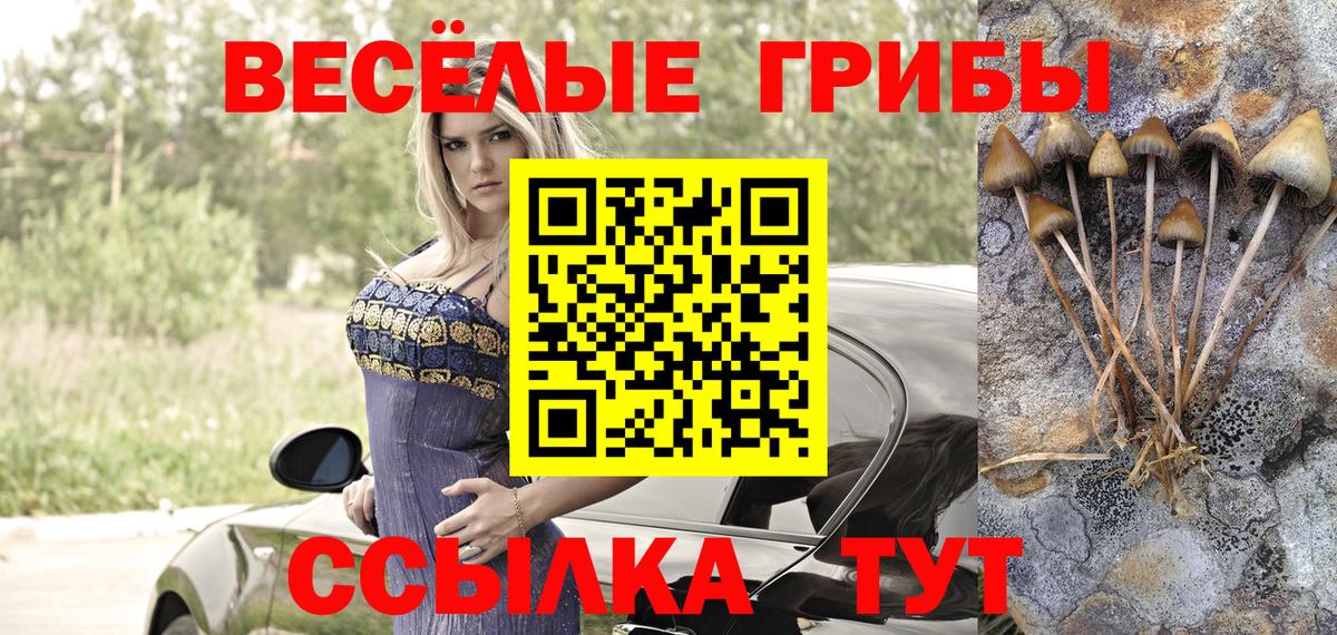 Галлюциногенные грибы прущие грибы  Вход с VPN  Дербент 
