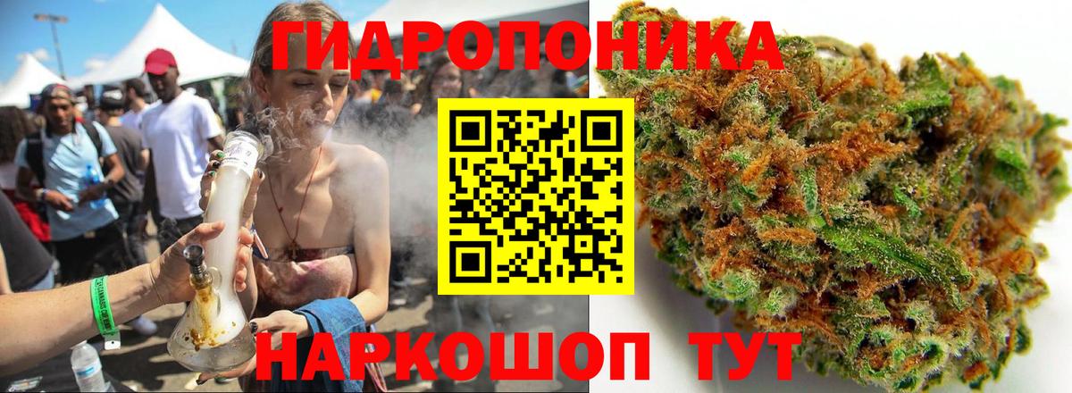 Бошки марихуана конопля Дербент
